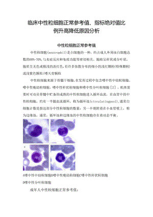 临床中性粒细胞正常参考值、指标绝对值比例升高降低原因分析.docx