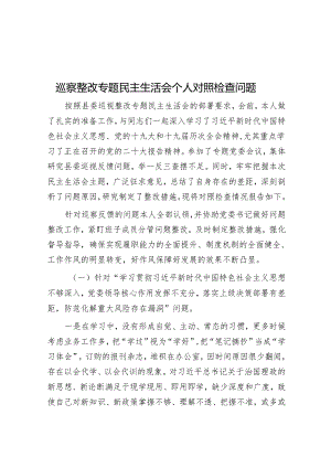 巡察整改专题民主生活会个人对照检查问题&党委书记在某单位巡察整改督导动员部署会上的讲话.docx