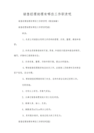 销售经理助理有哪些工作职责呢.docx