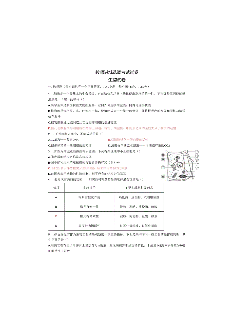 某区教师进城选调考试试卷.docx_第2页