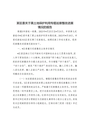 某区委关于黑土地保护利用专题巡察整改进展情况的报告&党委书记在党委进一步改进作风狠抓落实工作推进会上的讲话.docx