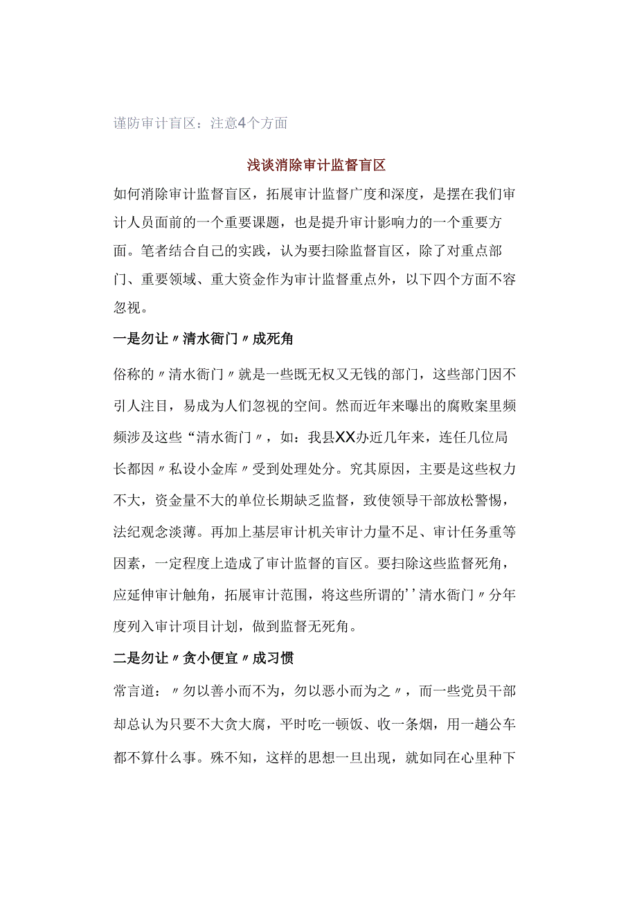 谨防审计盲区：注意4个方面.docx_第1页