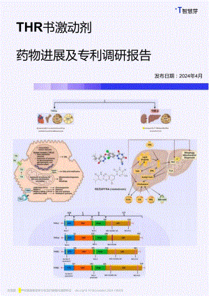 THR-β 激动剂药物进展及专利调研报告.docx