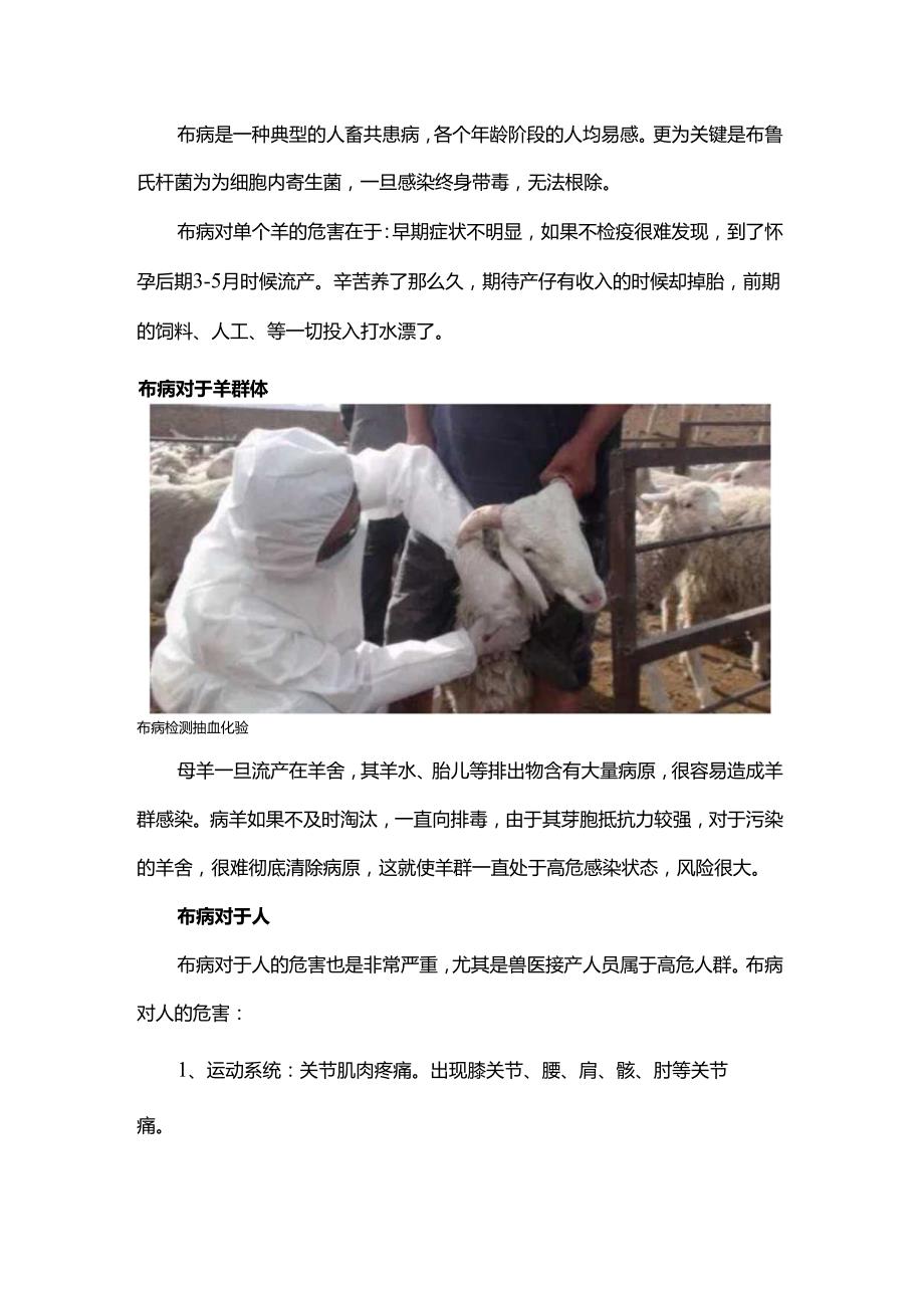 养殖户注意这种病正通过羊入侵人体不注意将无法生育.docx_第1页