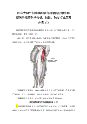 临床大腿外侧疼痛和髋部疼痛阔筋膜张肌损伤功能解剖学分析、触诊、触发点成因及手法治疗.docx