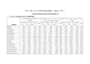 上市公司财务指标指数(2024上半年).docx