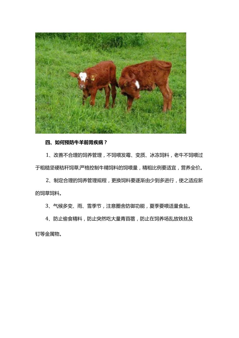 牛羊前胃疾病综合症的预防治疗方案.docx_第3页