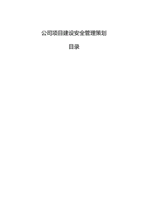 公司项目建设安全管理策划.docx