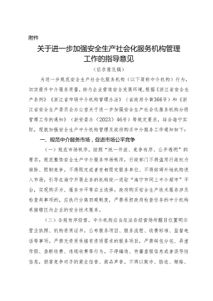 关于进一步加强安全生产社会化服务机构管理工作的指导意见.docx