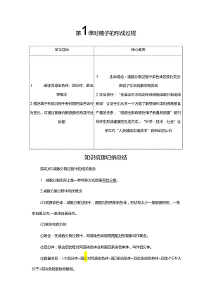 2023-2024学年 人教版 必修二 精子的形成过程 学案.docx