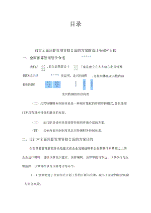 X特殊钢企业管理咨询-全面预算管理方案.docx