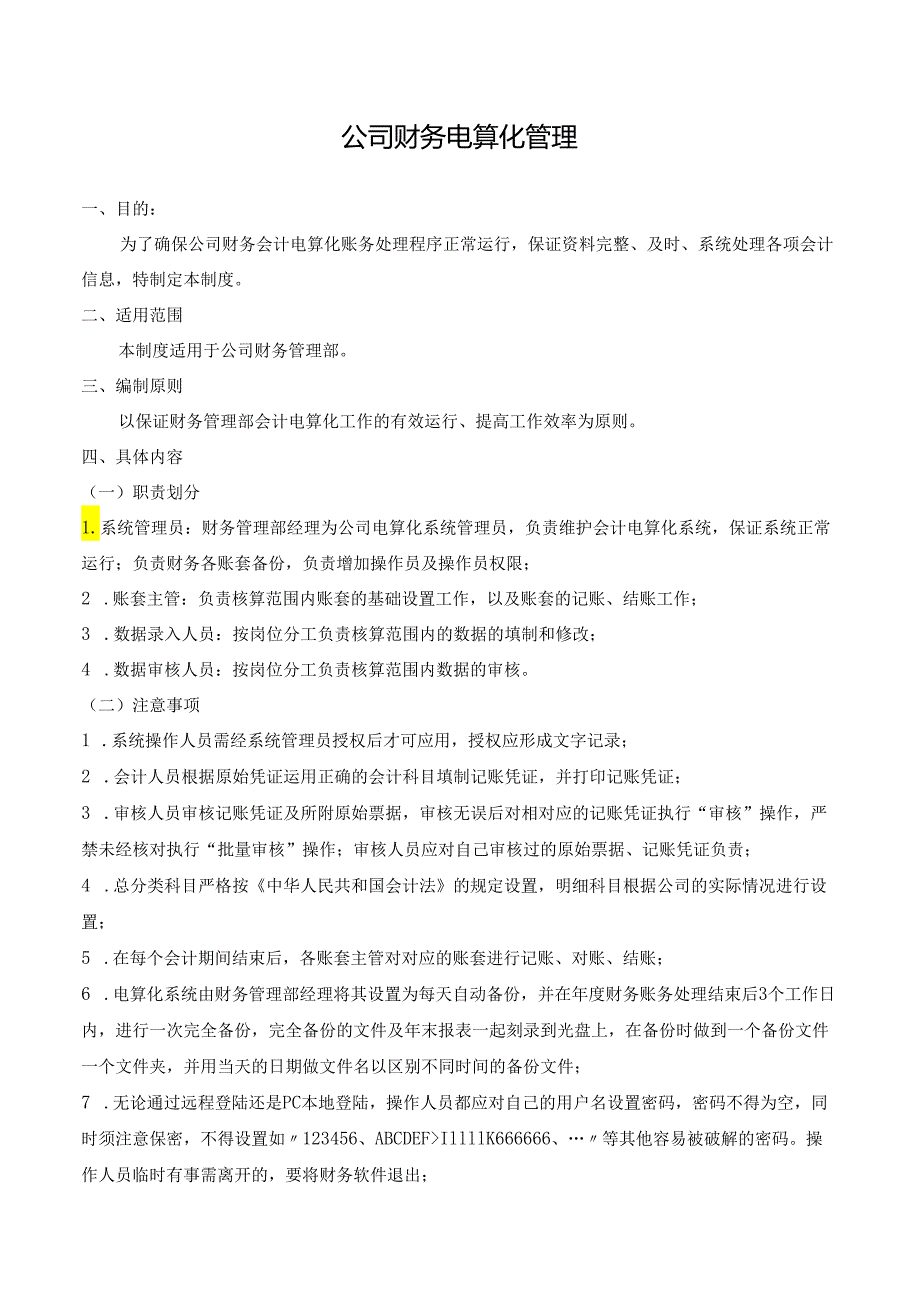 公司财务电算化管理.docx_第1页