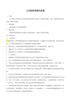 公司财务电算化管理.docx