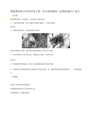 小学科学粤教粤科版四年级下册《动物的巢穴》练习（含答案）.docx