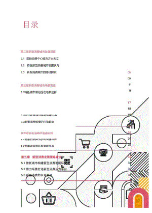 中国新型消费城市发展洞察报告.docx