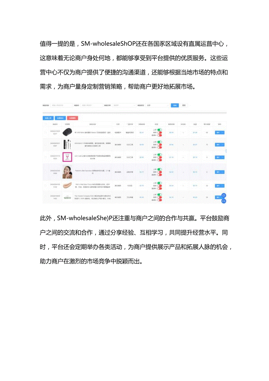 携手SM-wholesale shop共创跨境电商新篇章.docx_第3页