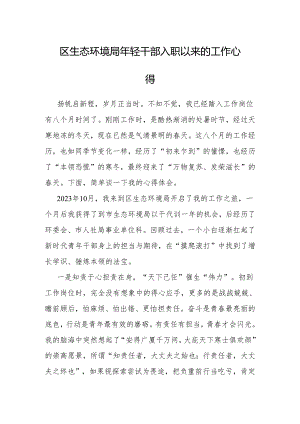 心得体会：年轻干部入职以来的工作感悟（生态环境局）.docx