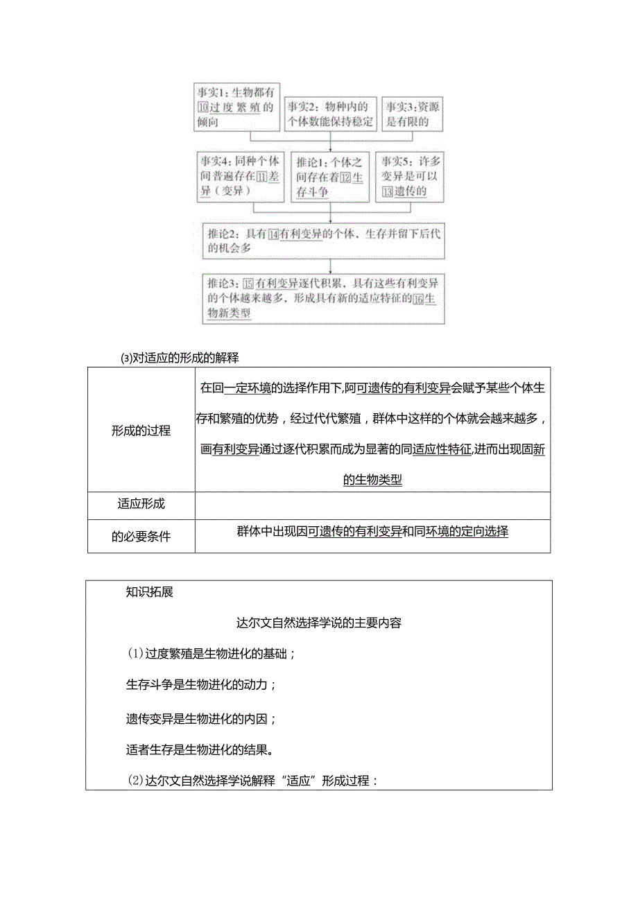 2023-2024学年 人教版 必修二自然选择与适应的形成 学案.docx_第3页