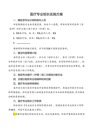 医疗专业组长实施方案.docx