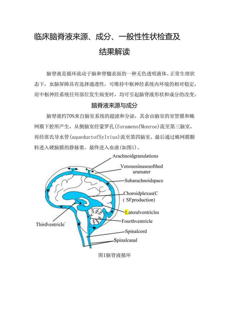 临床脑脊液来源、成分、一般性性状检查及结果解读.docx_第1页