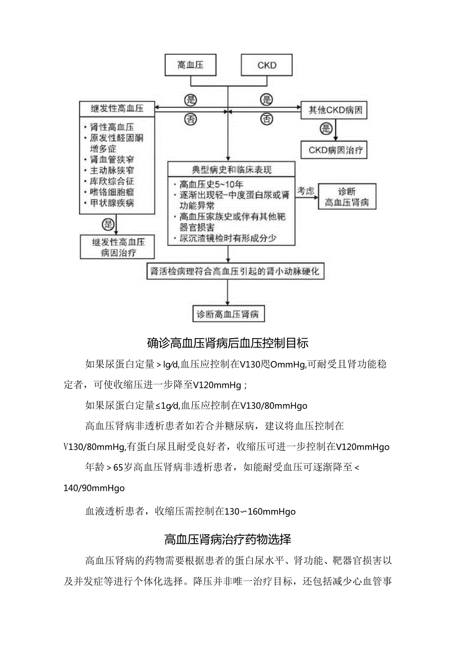 临床高血压肾病病理、与慢性肾病关系、诊断依据、血压控制目标、药物选择及预防及生活管理重点.docx_第3页