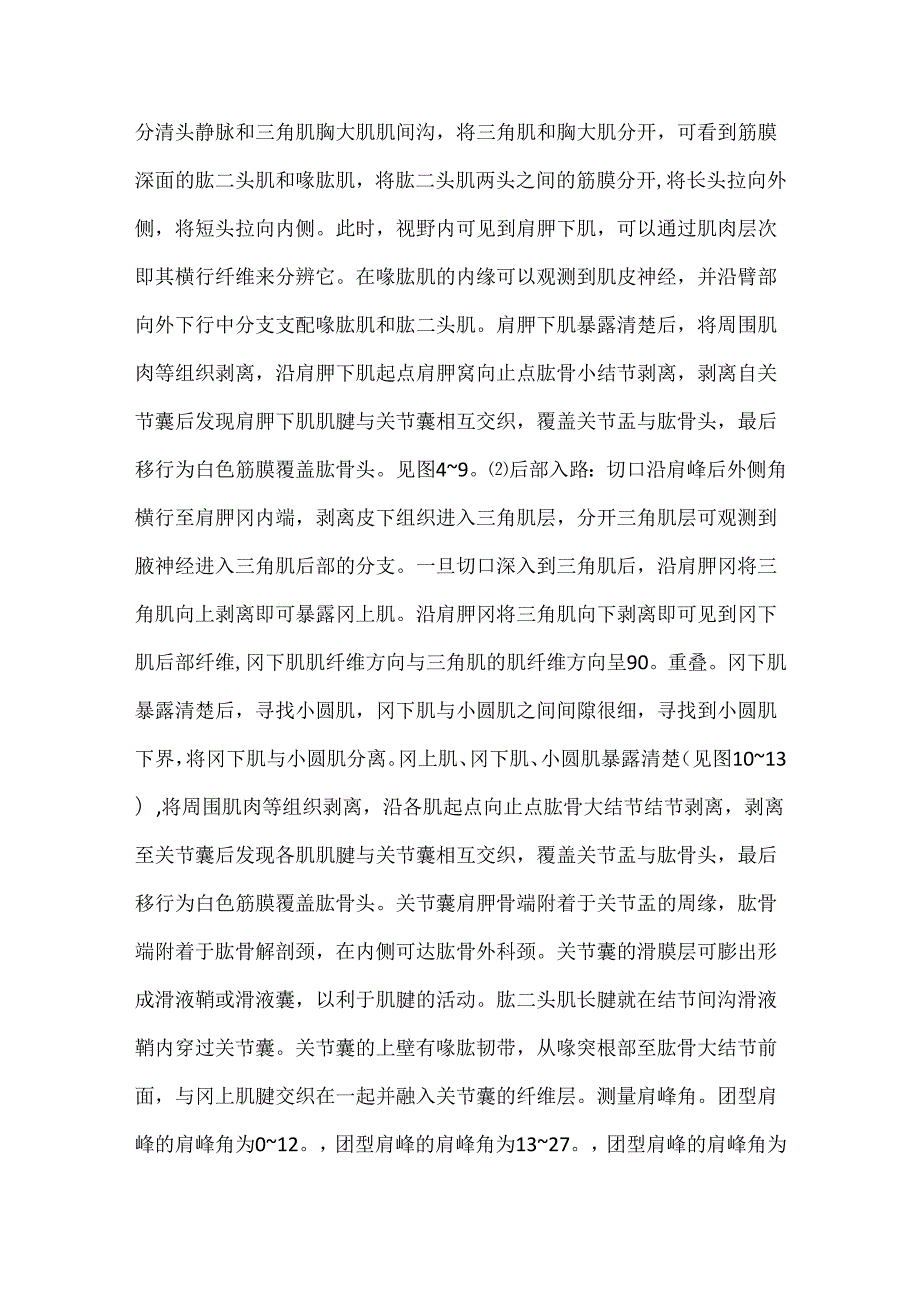 关于国人肩峰形态解剖分型与肩袖损伤的关系.docx_第3页