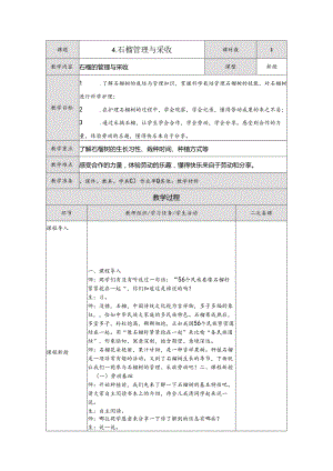 4石榴管理与采收（教案）五年级下册劳动人民版.docx