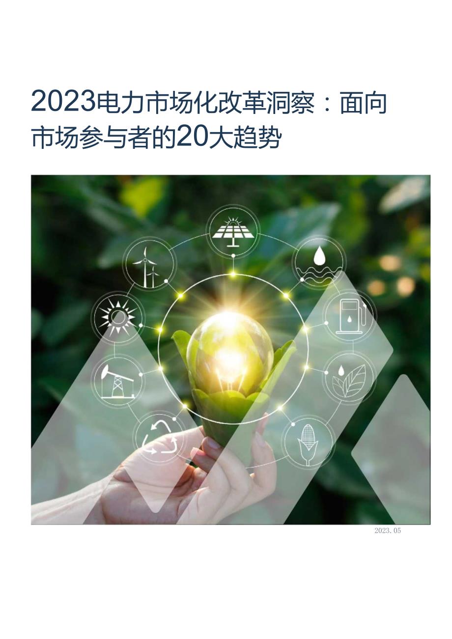 2023中国电力改革20大趋势.docx_第1页