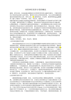 坐骨神经变异分型的概况.docx