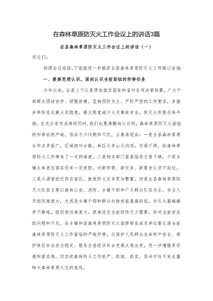 在森林草原防灭火工作会议上的讲话3篇.docx