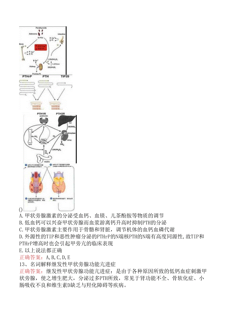 内分泌学(医学高级)：甲状旁腺疾病三.docx_第3页