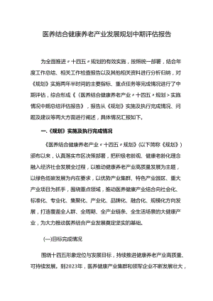 医养结合健康养老产业发展规划中期评估报告.docx