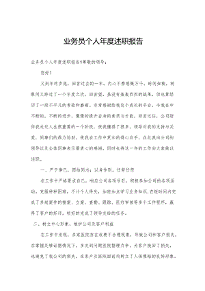 业务员个人年度述职报告.docx