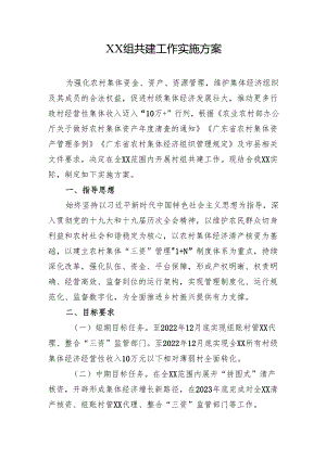 XX组共建工作实施方案.docx