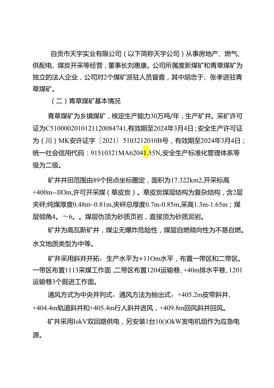 自贡市天宇实业有限公司青草煤矿“1.10”顶板事故调查报告.docx_第2页