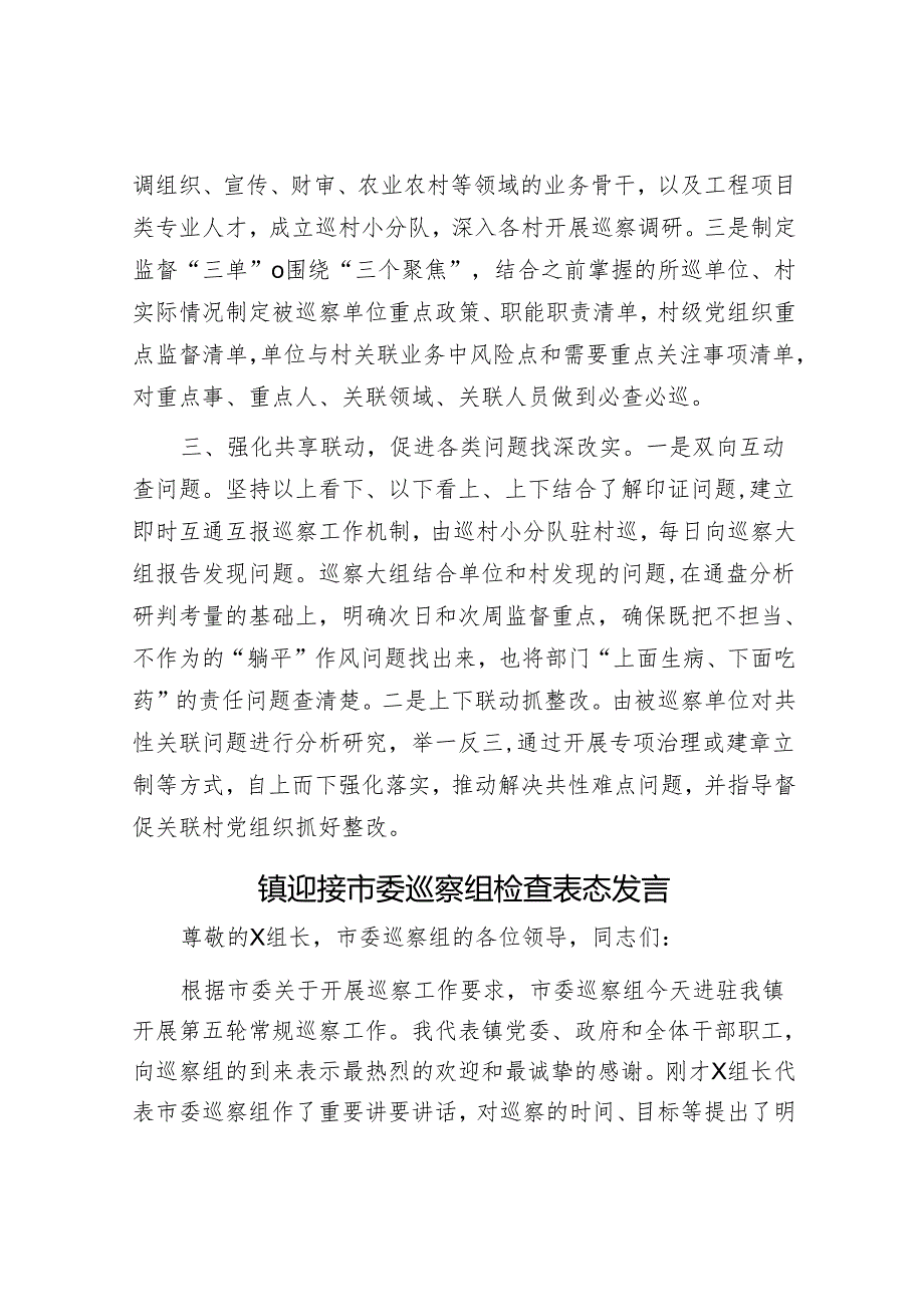 基层巡察工作汇报&镇迎接市委巡察组检查表态发言.docx_第2页