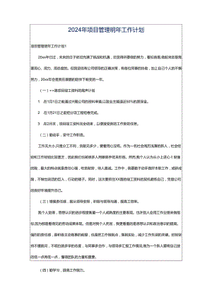 2024年项目管理明年工作计划.docx