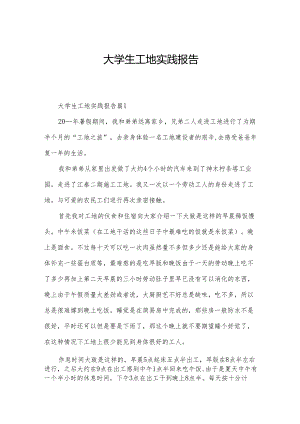 大学生工地实践报告.docx