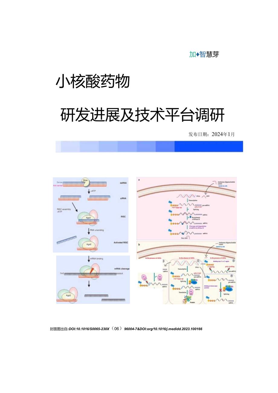 小核酸药物研发进展及技术平台调研.docx_第1页