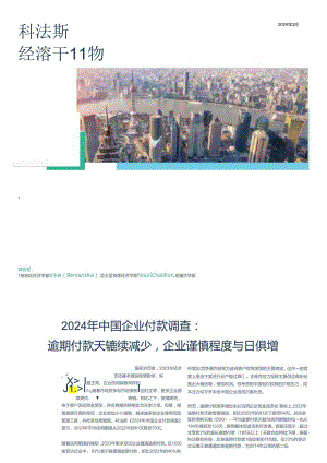 2024中国企业付款调查报告.docx