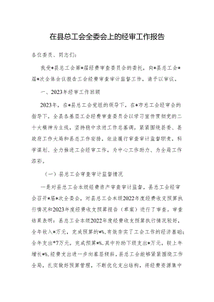 在总工会全委会上的经审工作报告.docx