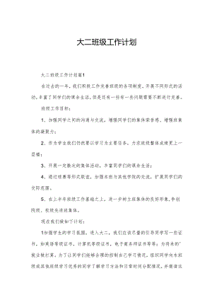 大二班级工作计划.docx