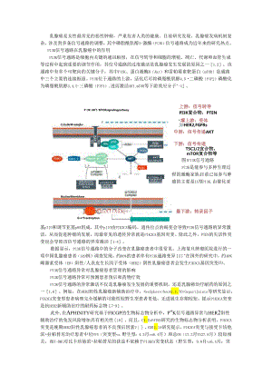 PI3K信号通路对乳腺癌患者管理的影响及其检测方法.docx