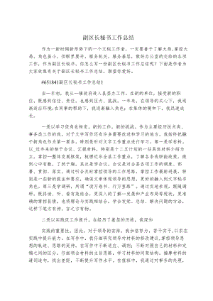 副区长秘书工作总结.docx