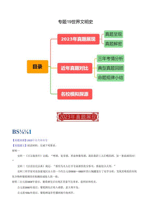 专题19 世界文明史（解析版）.docx