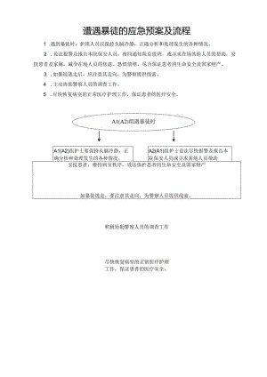 遭遇暴徒的应急预案及流程.docx