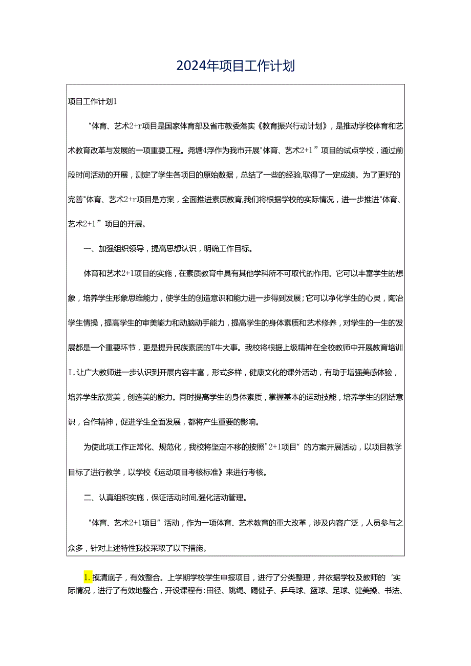 2024年项目工作计划.docx_第1页