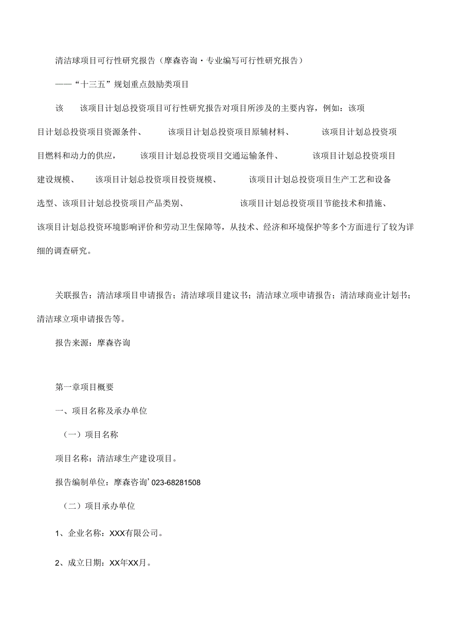 清洁球项目可行性研究报告(摩森咨询·专业编写可行性研.docx_第1页