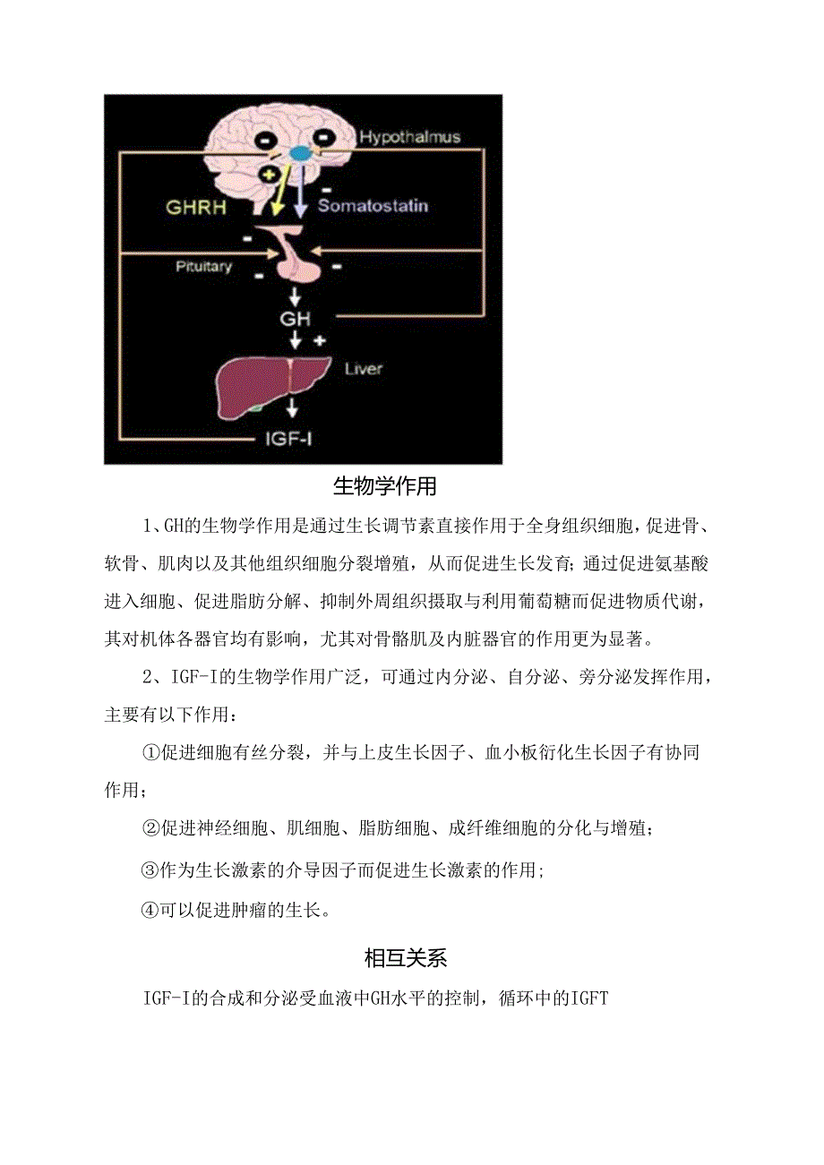 生长激素与胰岛素样生长因子-1检测临床意义.docx_第2页