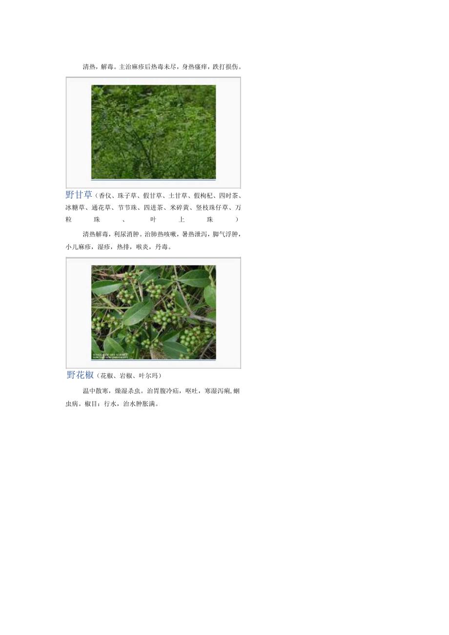 3000种中医药材第2501-2600种.docx_第2页